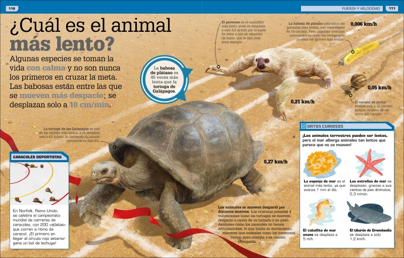 ¡Increíble Pero Cierto! Animales-6