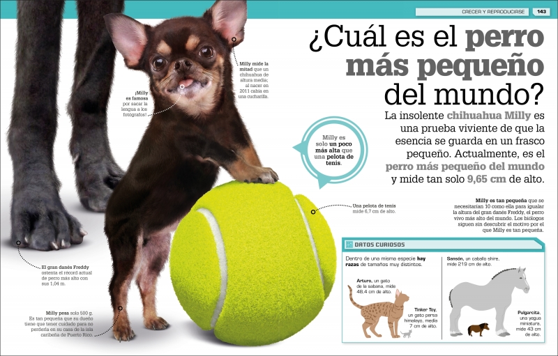 ¡Increíble Pero Cierto! Animales-7
