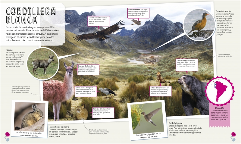 Mi Primer Atlas de Animales-3