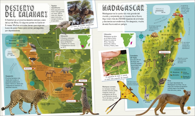 Mi Primer Atlas de Animales-4