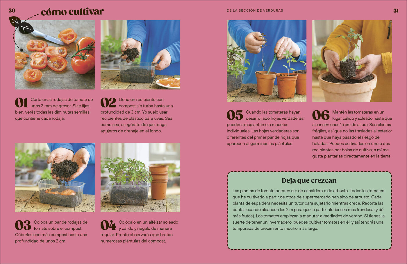 Cómo Cultivar sin Huerto-4
