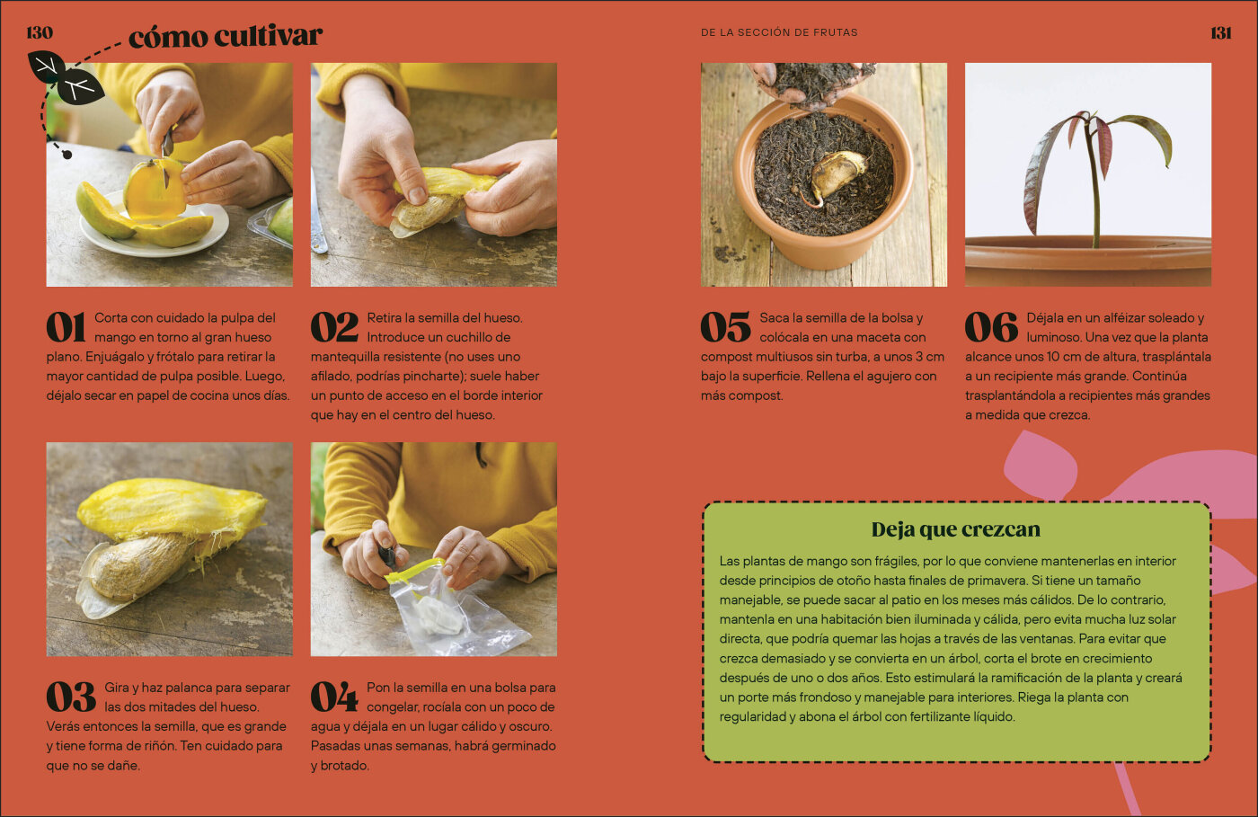Cómo Cultivar sin Huerto-7