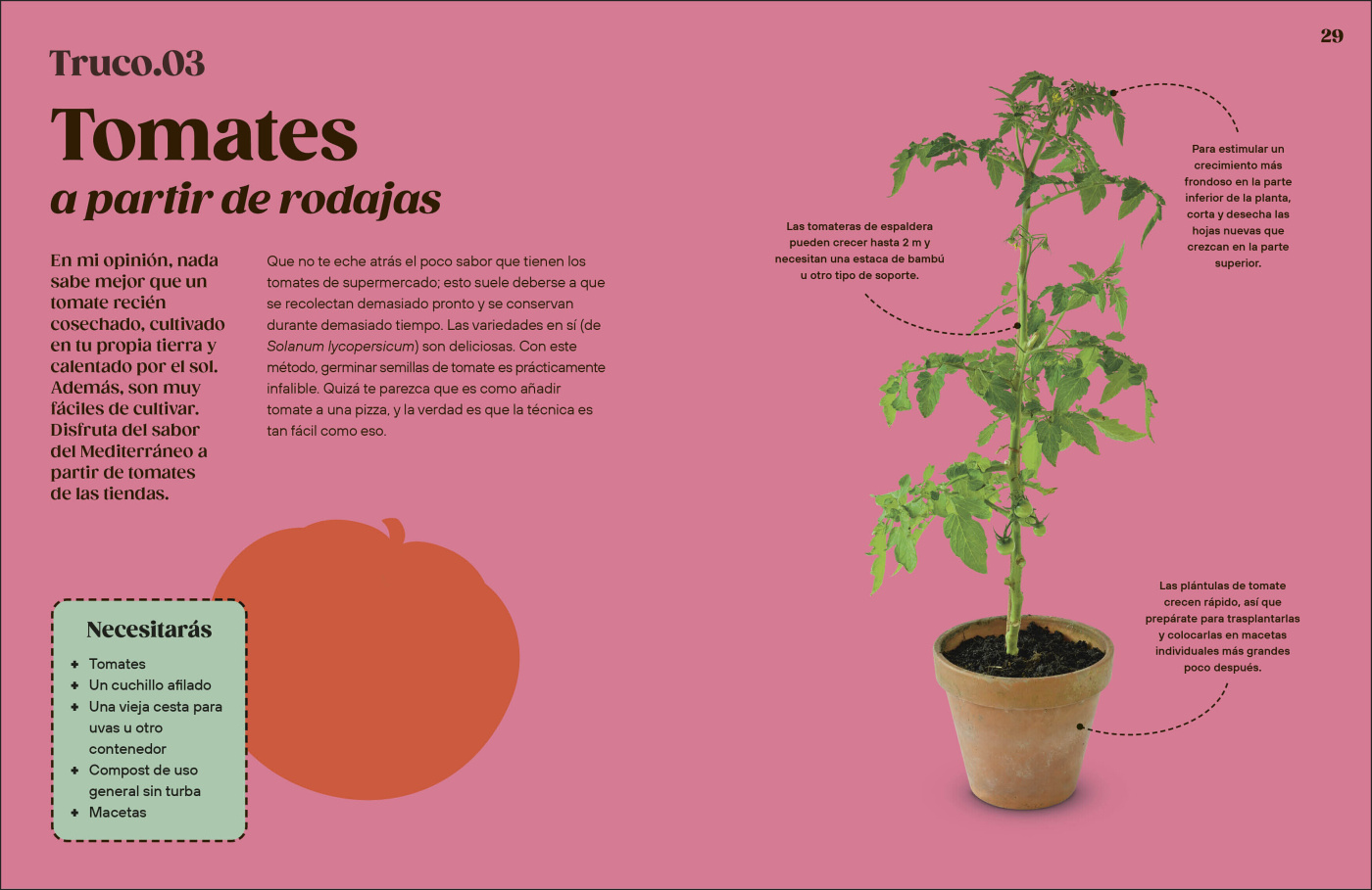 Cómo Cultivar sin Huerto-3