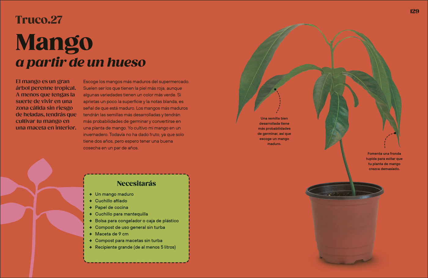 Cómo Cultivar sin Huerto-6