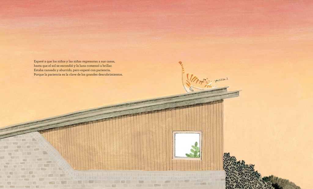 GATO DE BIBLIOTECA-2