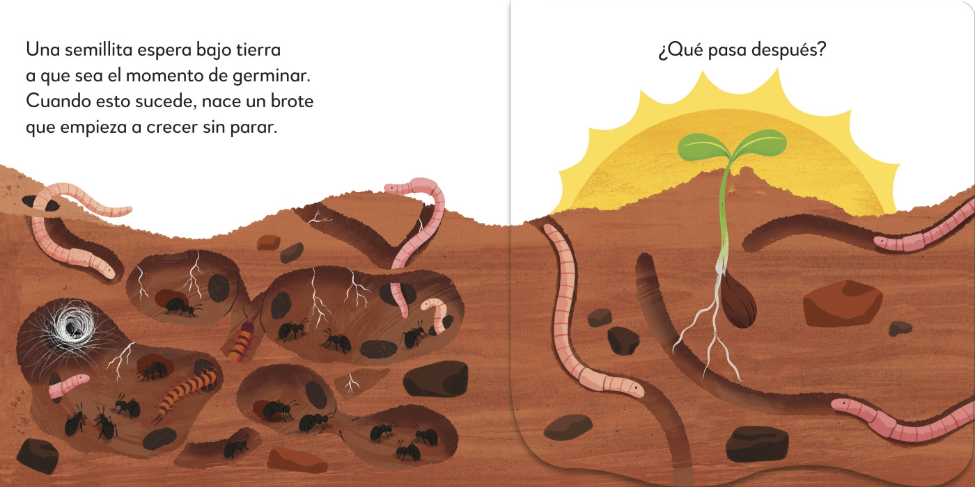 ¡POP-UP SORPRESA! - EL ÁRBOL-4