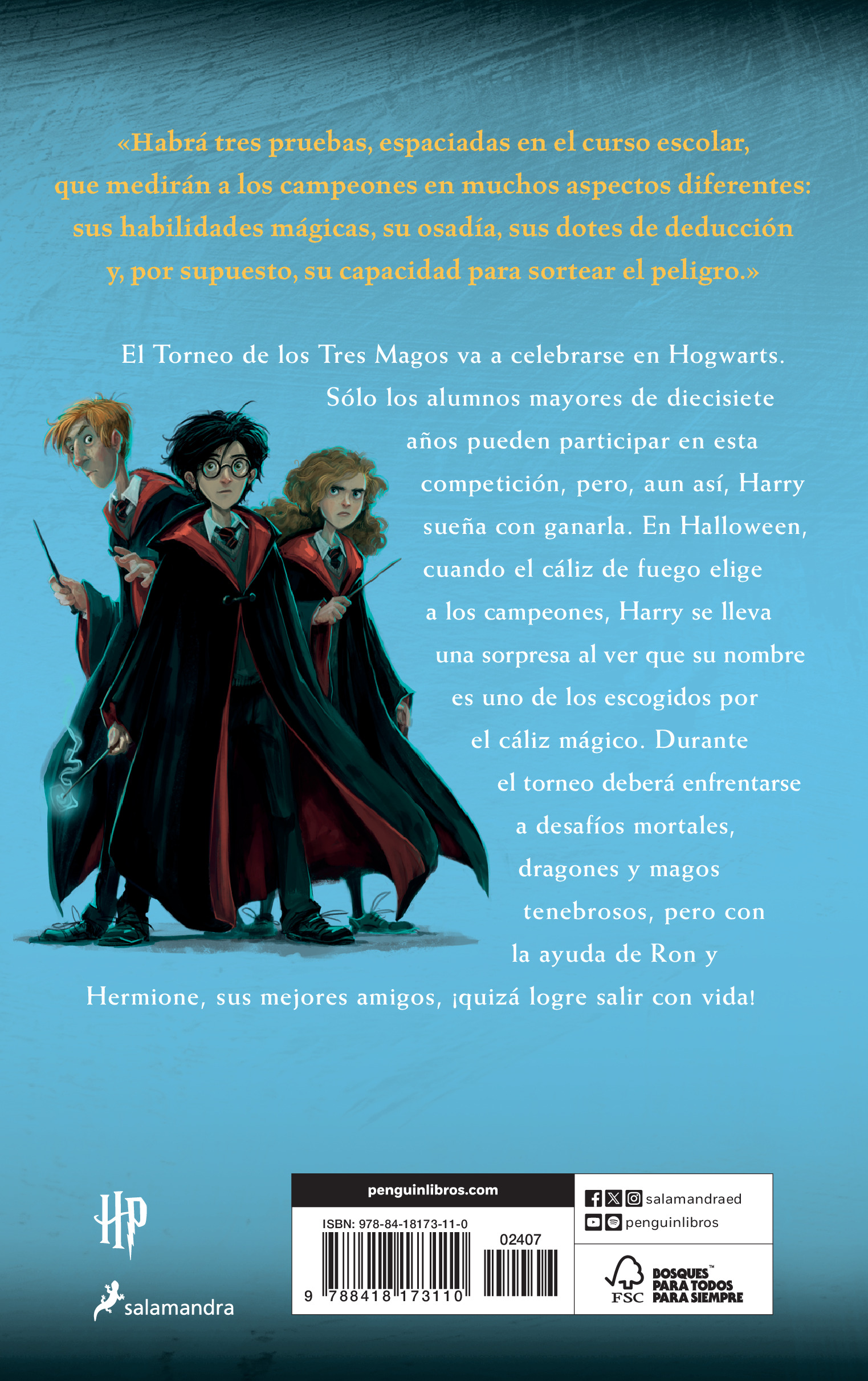 Harry Potter y el Cáliz de Fuego (Harry Potter 4)-1